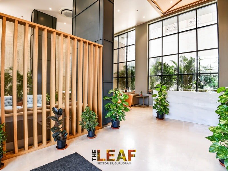 ss-the-leaf-sector-85-gurgaon